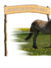 Physiotherapie, Ergotherapie und Wellness w�hrend Ihres Urlaubes auf der Insel Ummanz - Insel R�gen. Sie haben im normalen Alltag zu wenig Zeit oder Sie m�chte einen begonnene Behandlung im Urlaub nicht unterbrechen, dann buchen Sie unsere Ferienwohnung und nehmen unsere Leistungen der Physiotherapie und Ergotherapie in Anspruch. Privat oder auch auf Kassenrezept.