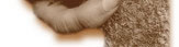 www.r�gen-ergotherapie.de